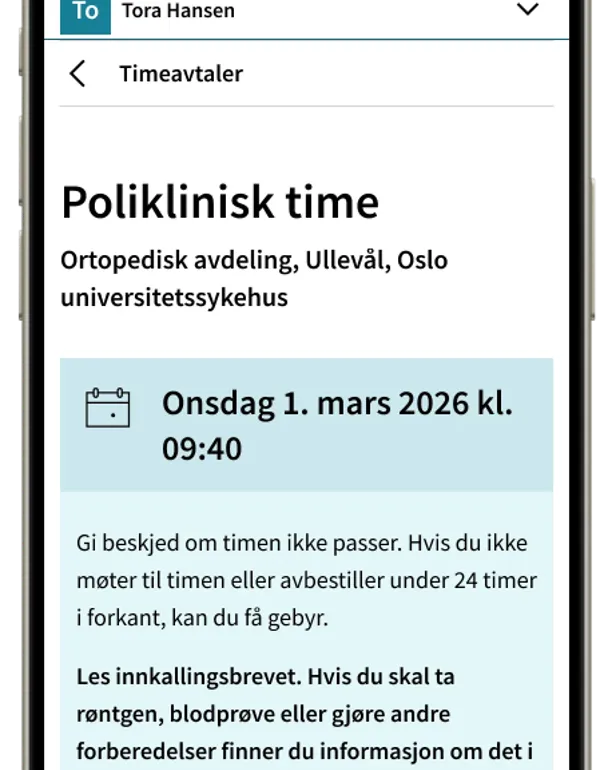 Grafisk brukergrensesnitt, tekst, applikasjon