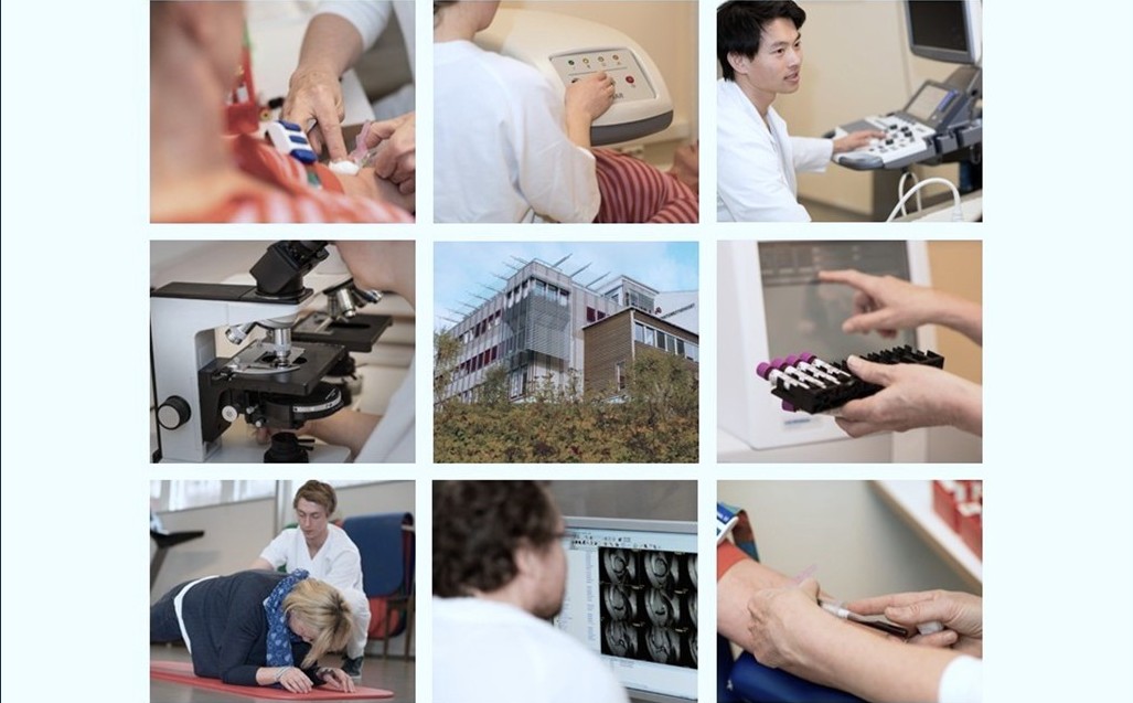 A collage of people working on computers