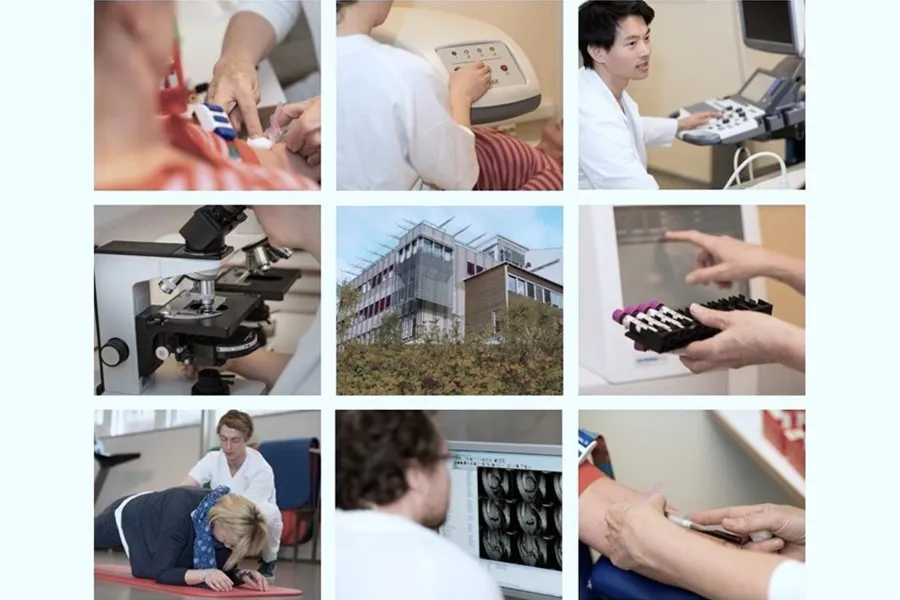A collage of people working on computers