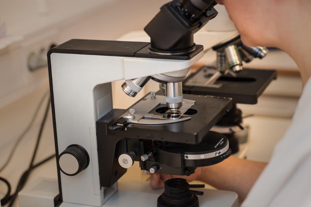 A person using a microscope