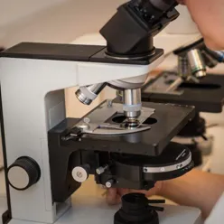 A person using a microscope